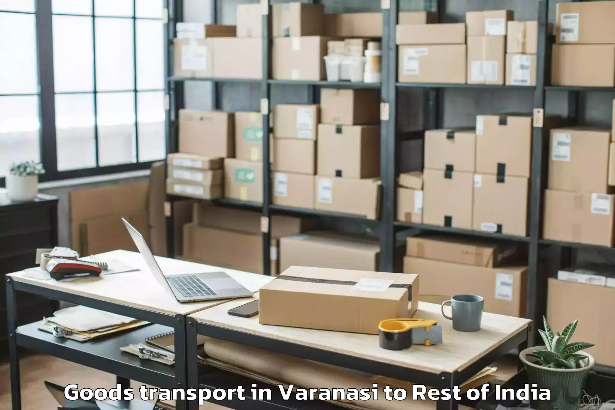 Affordable Varanasi to Liromoba Goods Transport